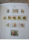 Delcampe - RUSSIE ANNEES COMPLETES 2004 A 2009 + BLOCS EN NEUF AVEC ALBUM DAVO - Unused Stamps