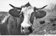 ANIMAUX #SAN47233 LES ANIMAUX DE LA MONTAGNE LA VACHETTE - Cows