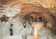 MALTE - Prehistoric Cave - Ghar Dalam - Cave Of Darkness - Birzebbugia - Malta - Animé - Carte Postale - Malte