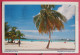 Visuel Pas Très Courant - République Dominicaine - Playa Boca Chica - Joli Timbre - Dominican Republic
