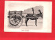 18675  CARRO Siciliano  ( Char Charrette  Bonnet Cheval Courses) - Pferde