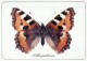 SCHMETTERLINGE Tier Vintage Ansichtskarte Postkarte CPSM #PBS419.DE - Papillons