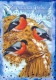 VOGEL Tier Vintage Ansichtskarte Postkarte CPSM #PAM876.DE - Vögel