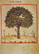 ÁRBOLES Vintage Tarjeta Postal CPSM #PBZ994.ES - Arbres