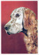 PERRO Animales Vintage Tarjeta Postal CPSM #PAN431.ES - Hunde