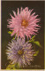 FLEURS Vintage Carte Postale CPA #PKE565.FR - Fleurs