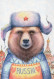 OURS Animaux Vintage Carte Postale CPSM #PBS105.FR - Bären
