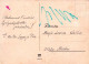 FLEURS Vintage Carte Postale CPSM #PAS587.FR - Fleurs