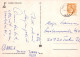 FLEURS Vintage Carte Postale CPSM #PAR262.FR - Fleurs