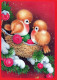 OISEAU Animaux Vintage Carte Postale CPSM #PAM938.FR - Birds