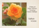 FLOWERS Vintage Postcard CPSM #PAS342.GB - Fiori