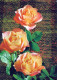 FLOWERS Vintage Postcard CPSM #PAR981.GB - Fleurs