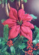 FLOWERS Vintage Postcard CPSM #PAR801.GB - Blumen