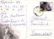 DOG Animals Vintage Postcard CPSM #PAN430.GB - Hunde