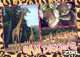 GIRAFFE Animale Vintage Cartolina CPSM #PBS945.IT - Giraffes
