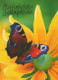 FARFALLA Animale Vintage Cartolina CPSM #PBS420.IT - Butterflies