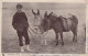 ASINO Animale BAMBINO Vintage CPA Cartolina #PAA333.IT - Esel