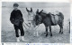 ASINO Animale BAMBINO Vintage CPA Cartolina #PAA333.IT - Donkeys