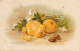 G.356  C. KLEIN - Still Life Painting - 192(?) - Klein, Catharina