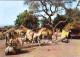 République Du NIGER  - Scene Villageoise - Niger