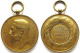 Médaille En Cuivre Dorée Académie Du Hainaut 1893, Léopold II Roi Des Belges , Par Wurden - Autres & Non Classés