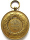 Médaille En Cuivre Dorée Académie Du Hainaut 1893, Léopold II Roi Des Belges , Par Wurden - Other & Unclassified