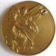 Médaille En Bronze Dorée,  IXe Salon International Des Inventeurs Bruxelles 1960 Par Michel - Altri & Non Classificati