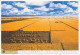 Postal Stationery China 2002 Farmland - Corn - Grain - Agriculture