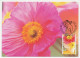 Maximum Card Australia1994 Poppies - Valentine - Autres & Non Classés
