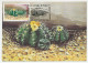 Maximum Card Rumania 1997 Cactus - Autres & Non Classés