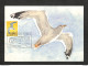 PAYS-BAS - NEDERLAND - Carte MAXIMUM 1961 - ZILVERMEEUW - European Herring Argentatus - Maximumkarten (MC)