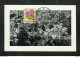 RUANDA-URUNDI - Carte MAXIMUM 1958 - Palais Du CONGO BELGE Et Du RUANDA-URUNDI - Fleurs - DISSOTIS - Sonstige & Ohne Zuordnung
