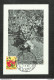 RUANDA-URUNDI - Carte MAXIMUM 1958 - Palais Du CONGO BELGE Et Du RUANDA-URUNDI - Fleurs - HIBISCUS - Altri & Non Classificati