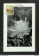 RUANDA-URUNDI - Carte MAXIMUM 1958 - Palais Du CONGO BELGE Et Du RUANDA-URUNDI - Fleurs - PROTEA - Autres & Non Classés