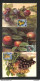 SAINT-MARIN - SAN MARINO - 3 Cartes MAXIMUM 1958 - Fruits - Other & Unclassified