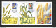 SAINT-MARIN - SAN MARINO - 3 Cartes MAXIMUM 1958 - Blé-Grano - Maïs-Granoturço - Otros & Sin Clasificación