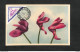 SAINT-MARIN - SAN MARINO - Carte MAXIMUM 1952 - Fleurs - Otros & Sin Clasificación