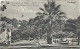 Portugal &  Caldas Da Rainha, Um Trecho Do Parque, Ed. Da T.Y.P E Papelaria Dias & Paramos, Cuba A Grândola 1924 (32) - Brieven En Documenten
