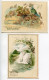 LOT De 3 * IMAGE CHROMO CHOCOLAT POULAIN * Oiseaux : Rouge Gorge - Mésange - Cygne - Poulain