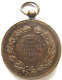 Médaille En Bronze Léopold II. Prijskamp Voor Paarden 26 Septembre 1898 Langemarck, Concours Hippique - Andere & Zonder Classificatie