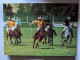 CP -  Polo  Match - Hippisme