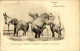 CIRQUE - Carte Postale - Un Des Groupes D’éléphants De Barnum Et Bailey En File Indienne- L 152178 - Zirkus