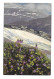 Austria Alpen Flora Soldanella Otto Haus Handstamp Nenke Ostermaier Nr. 524 Postcard - Flowers