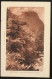 LOT 37: 5 Cartes Postales Anciennes De MARTINIQUE. Bon état. - Other & Unclassified