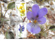 FRANCE.CARTE MAXIMUM. N°207414. 17/05/2019. Cachet La Plaine Des Palmistes. La Flore. Fleur.signé Gendre - 2010-2019