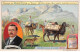 Chromos -COR12244 - Liebig - Sven Hedin - Tibet - Chien - Cheval - 7x10cm Env. - Liebig