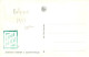 BELGIQUE.Carte Maximum.AM14092.28/02/1951.Cachet Belgique.Sanatorium Elisabeth.Sysele-lez-Bruges - Used Stamps