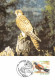 Carte Maximum - FRANCE - COR12976 - 04/11/2000 - Les Oiseaux Menacés - Faucon Crécerellette - Cachet Paris - 2000-2009