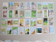 64 VIGNETTES CHROMOS TINTIN ET MILOU BUBBLE GUM + 2 POCHETTES - Sammelbilder