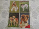 LOT Van 46 Postkaarten HONDEN - 5 - 99 Postcards